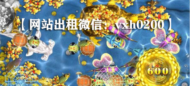 正版星力